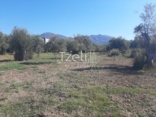 Οικόπεδο 4.500 τ.μ. για πώληση, Αχαΐα, Παραλία-thumb-27