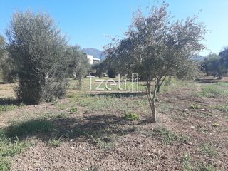 Οικόπεδο 4.500 τ.μ. για πώληση, Αχαΐα, Παραλία-thumb-13