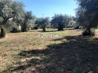 Οικόπεδο 4.500 τ.μ. για πώληση, Αχαΐα, Παραλία-thumb-3