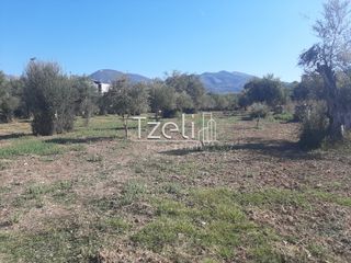 Οικόπεδο 4.500 τ.μ. για πώληση, Αχαΐα, Παραλία-thumb-29