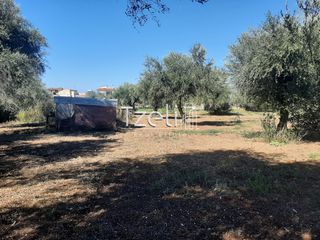 Οικόπεδο 4.500 τ.μ. για πώληση, Αχαΐα, Παραλία-thumb-14