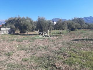 Οικόπεδο 4.500 τ.μ. για πώληση, Αχαΐα, Παραλία-thumb-17