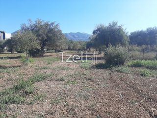 Οικόπεδο 4.500 τ.μ. για πώληση, Αχαΐα, Παραλία-thumb-15
