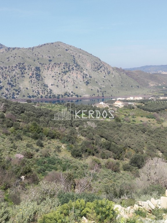 Αγροτεμάχια 28.000 τ.μ. προς πώληση, Κουρνά