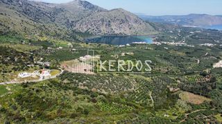 Αγροτεμάχια 28.000 τ.μ. για πώληση