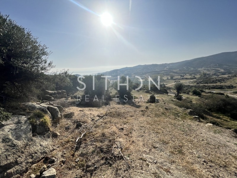 Οικόπεδο 500 τ.μ. προς πώληση, Σκάλα Συκέας