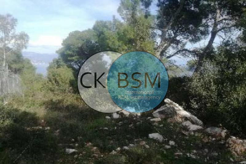 Οικόπεδο 1.160 τ.μ. προς πώληση, Πευκάλι