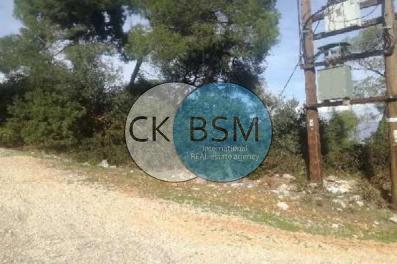 Οικόπεδο 1.160 τ.μ. προς πώληση, Πευκάλι