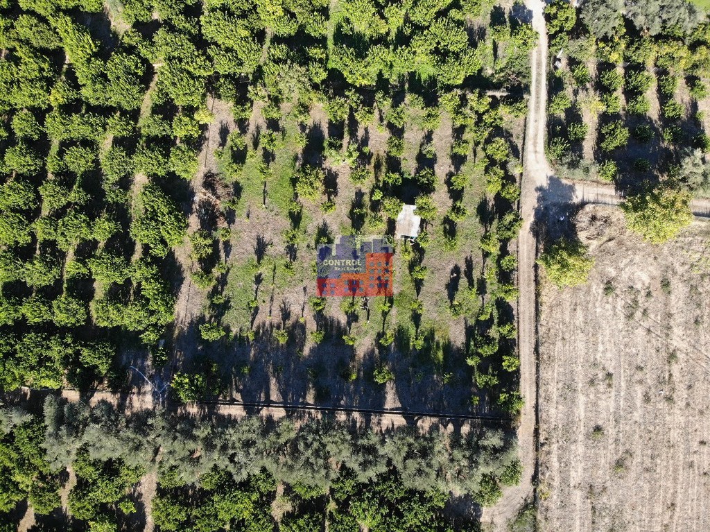 Οικόπεδο 2.000 τ.μ. προς πώληση, Τέμενη
