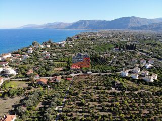 Οικόπεδο 2.000 τ.μ. για πώληση, Αχαΐα, Αίγιο-thumb-4