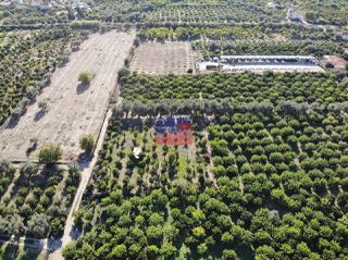 Οικόπεδο 2.000 τ.μ. για πώληση, Αχαΐα, Αίγιο-thumb-5