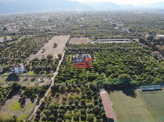 Οικόπεδο 2.000 τ.μ. για πώληση, Αχαΐα, Αίγιο-thumb-7