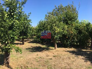 Οικόπεδο 2.000 τ.μ. για πώληση, Αχαΐα, Αίγιο-thumb-10
