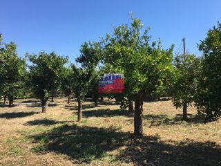 Οικόπεδο 2.000 τ.μ. για πώληση, Αχαΐα, Αίγιο-thumb-13