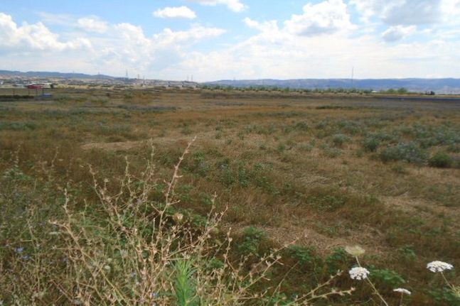 Αγροτεμάχια 25.000 τ.μ. για πώληση, Θεσσαλονίκη - Περιφ/Κοί Δήμοι, Ωραιόκαστρο