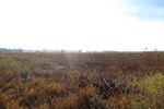 Parcel 32.000sqm for sale-Oreokastro