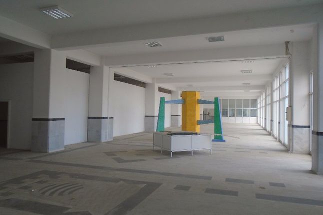 Βιοτεχνικός χώρος 5.350 τ.μ. για πώληση, Θεσσαλονίκη - Περιφ/Κοί Δήμοι, Εχέδωρος
