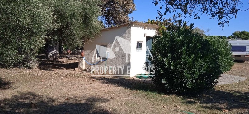 Αγροτεμάχια 4.250 τ.μ. πρός πώληση, Εβρος, Αλεξανδρούπολη