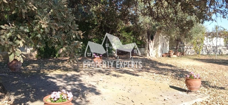 Αγροτεμάχια 4.250 τ.μ. πρός πώληση, Εβρος, Αλεξανδρούπολη