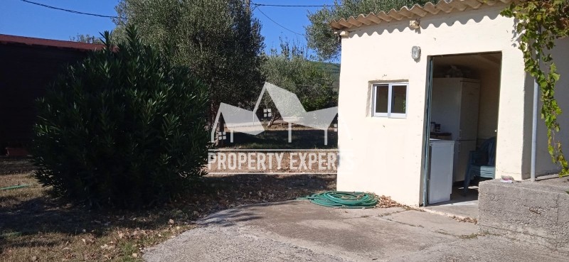 Αγροτεμάχια 4.250 τ.μ. πρός πώληση, Εβρος, Αλεξανδρούπολη