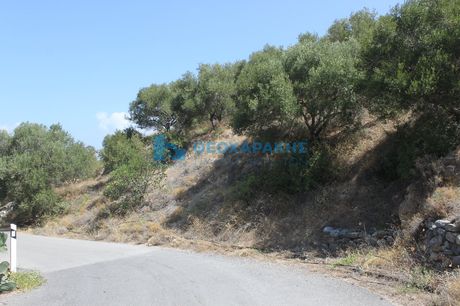 Οικόπεδο 10.517 τ.μ. για πώληση