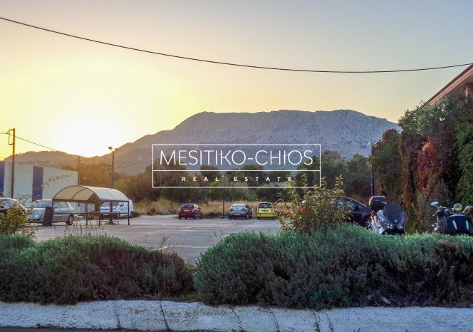 Οικόπεδο 4.143 τ.μ. προς πώληση, Ομηρούπολη