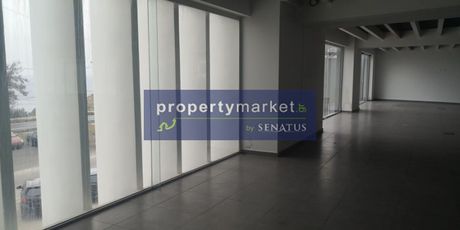 Business bulding 400sqm for rent-Nikiforos Fokas » Violi Charaki