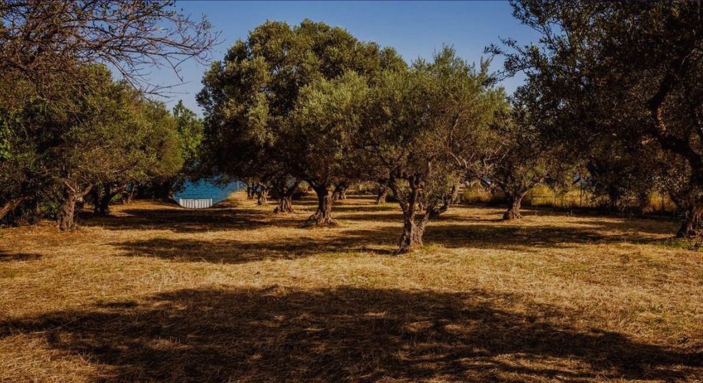 Οικόπεδο 2.336 τ.μ. προς πώληση, Αχαΐα, Ρίο