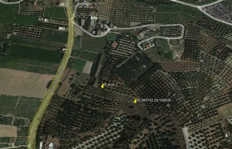 Αγροτεμάχια 4.500 τ.μ. για πώληση