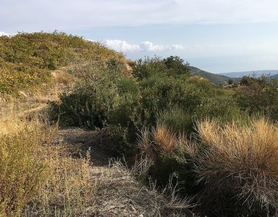 Αγροτεμάχια 10.045 τ.μ. για πώληση, Αχαΐα, Αίγιο