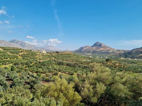 Αγροτεμάχια 8.740 τ.μ. για πώληση
