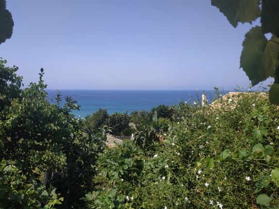 Land plot 4.966 sqm for sale, Corfu Prefecture, Corfu