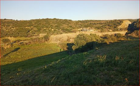 Οικόπεδο 6.710τ.μ. για πώληση-Μεθώνη » Κοκκινιά