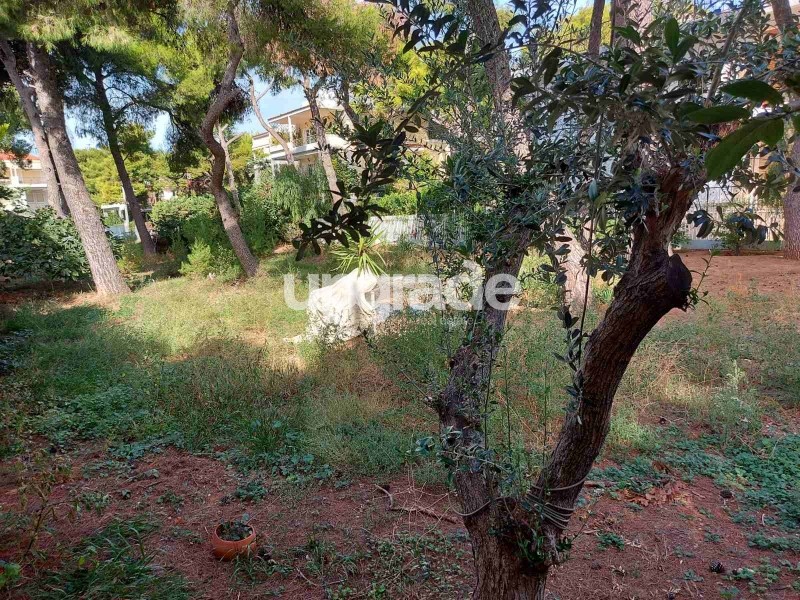 Οικόπεδο 750 τ.μ. πρός πώληση, Αθήνα - Βόρεια Προάστια, Κηφισιά