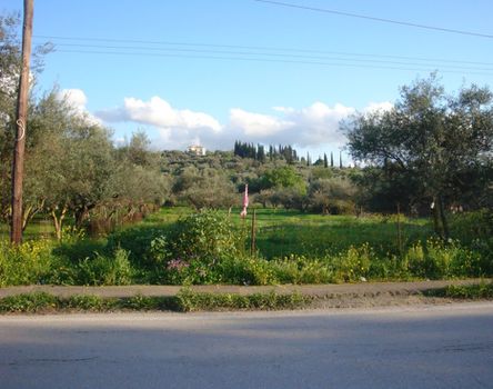Οικόπεδο 337τ.μ. για πώληση-Μεσσατίδα » Οβριά