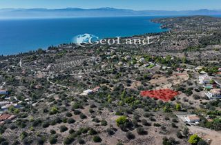 Αγροτεμάχια 1.654 τ.μ. για πώληση, Αργολίδα, Κρανίδι-thumb-9
