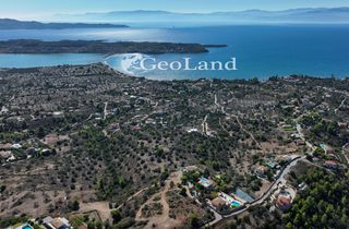 Αγροτεμάχια 1.654 τ.μ. για πώληση, Αργολίδα, Κρανίδι-thumb-8