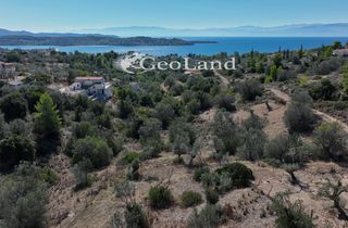 Αγροτεμάχια 1.654 τ.μ. για πώληση, Αργολίδα, Κρανίδι-thumb-6