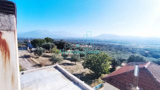 Οικόπεδο 5.000 τ.μ. για πώληση, Αχαΐα, Φαρές-thumb-15