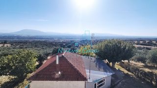 Οικόπεδο 5.000 τ.μ. για πώληση, Αχαΐα, Φαρές-thumb-2