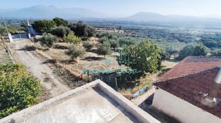 Οικόπεδο 5.000 τ.μ. για πώληση, Αχαΐα, Φαρές-thumb-1