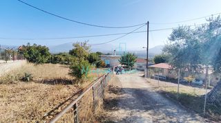 Οικόπεδο 5.000 τ.μ. για πώληση, Αχαΐα, Φαρές-thumb-27