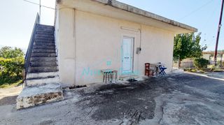 Οικόπεδο 5.000 τ.μ. για πώληση, Αχαΐα, Φαρές-thumb-3