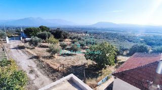 Οικόπεδο 5.000 τ.μ. για πώληση, Αχαΐα, Φαρές-thumb-17