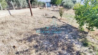 Οικόπεδο 5.000 τ.μ. για πώληση, Αχαΐα, Φαρές-thumb-29
