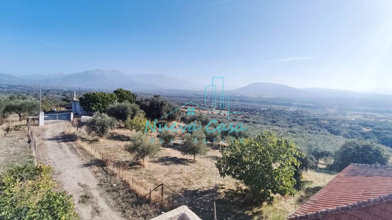Οικόπεδο 5.000 τ.μ. για πώληση, Αχαΐα, Φαρές