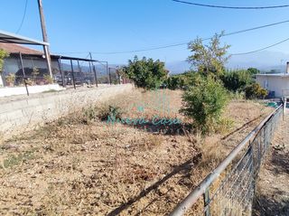 Οικόπεδο 5.000 τ.μ. για πώληση, Αχαΐα, Φαρές-thumb-28