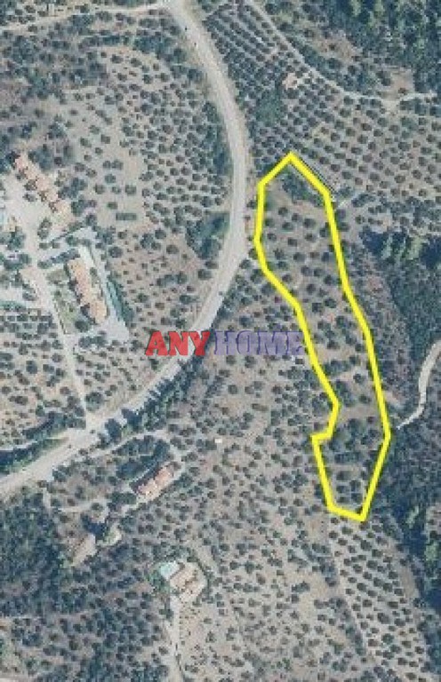 Αγροτεμάχια 10.000 τ.μ. προς πώληση, Λιμάνι Καρρά