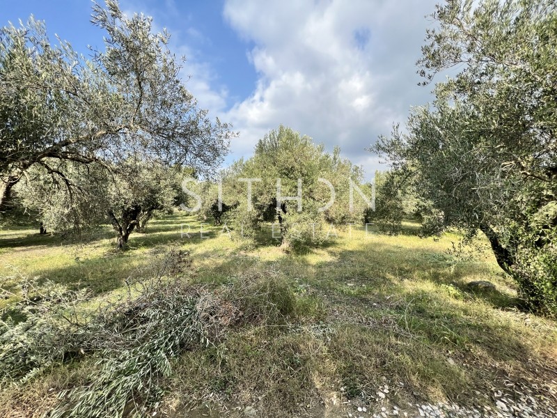 Αγροτεμάχια 9.205 τ.μ. προς πώληση, Νέος Μαρμαράς