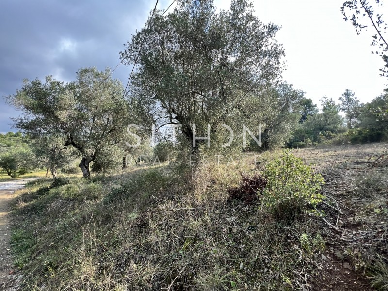 Αγροτεμάχια 9.205 τ.μ. προς πώληση, Νέος Μαρμαράς